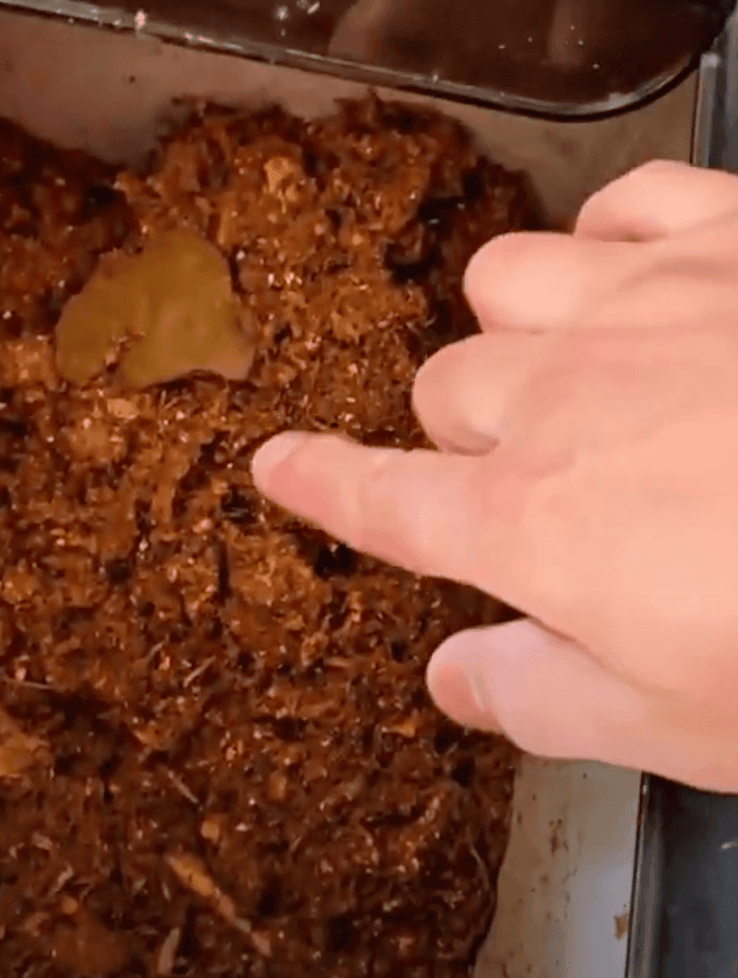 Real composter vs other dehydrate food recyclers