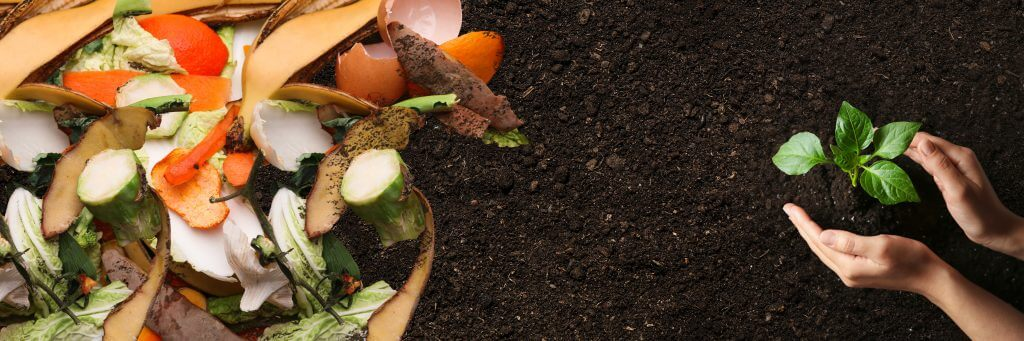 composting food waste