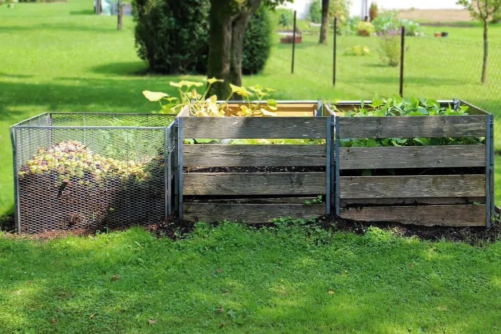 composting food waste