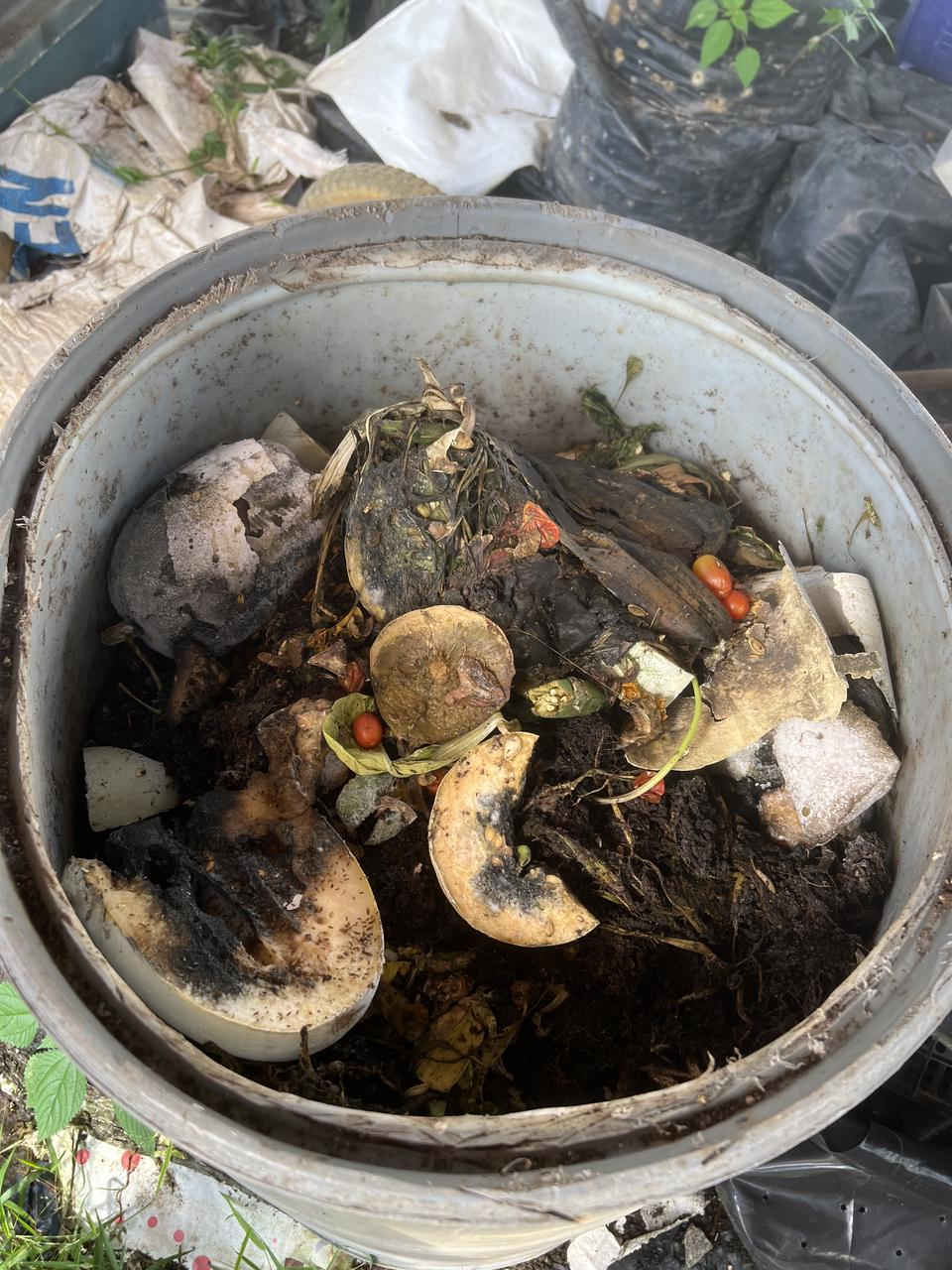 Hot compost bin for food waste