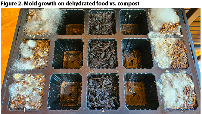 mold growth on dehydrated food vs real compost