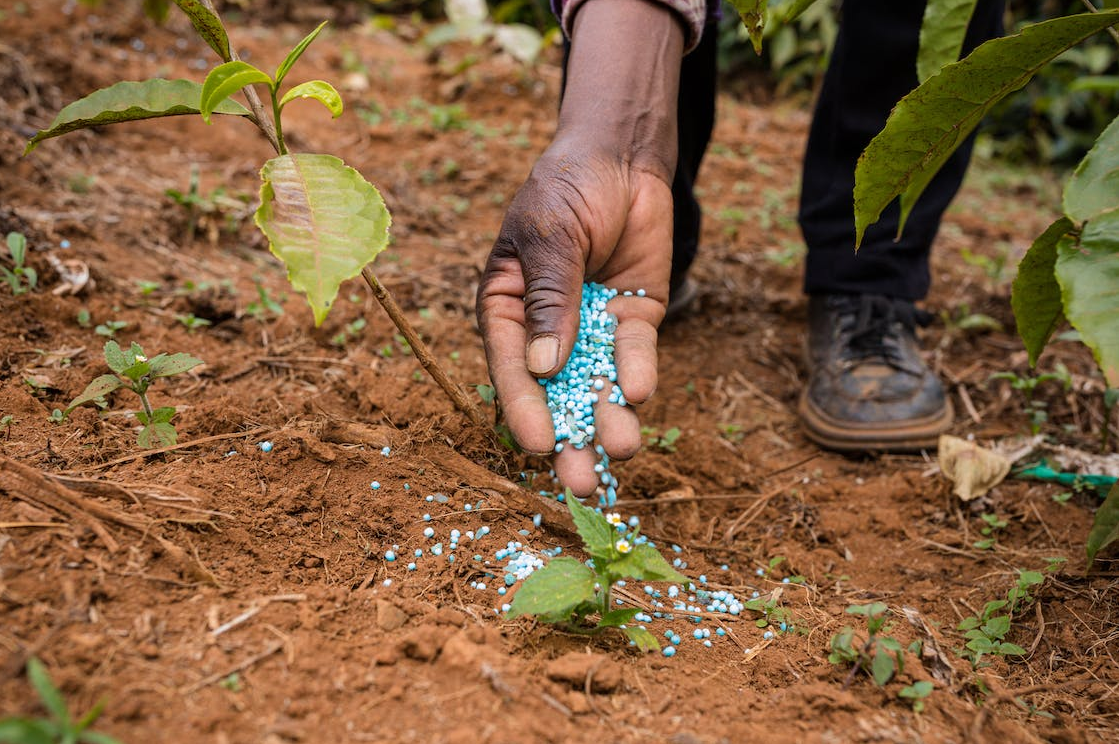 Chemical fertilizer